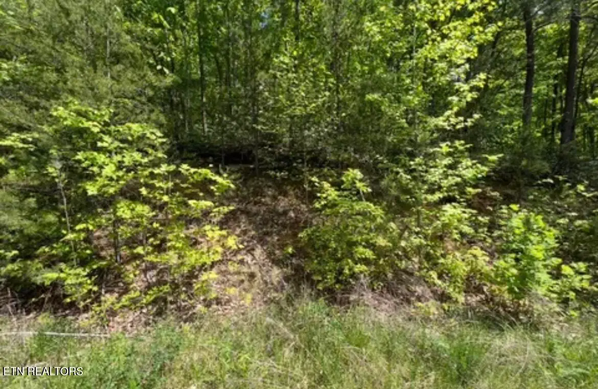 Lot 50 Yellowwood Drive, Sevierville, TN 37876 - #1
