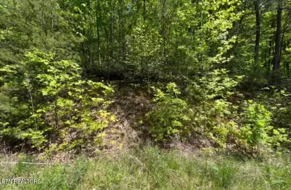 Lot 50 Yellowwood Drive, Sevierville, TN 37876