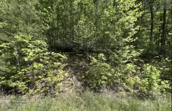 Lot 23 Green Meadows Dr, Sevierville, TN 37876