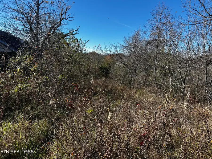 Shaddon Road Lot 1, Tellico Plains, TN 37385 - #2