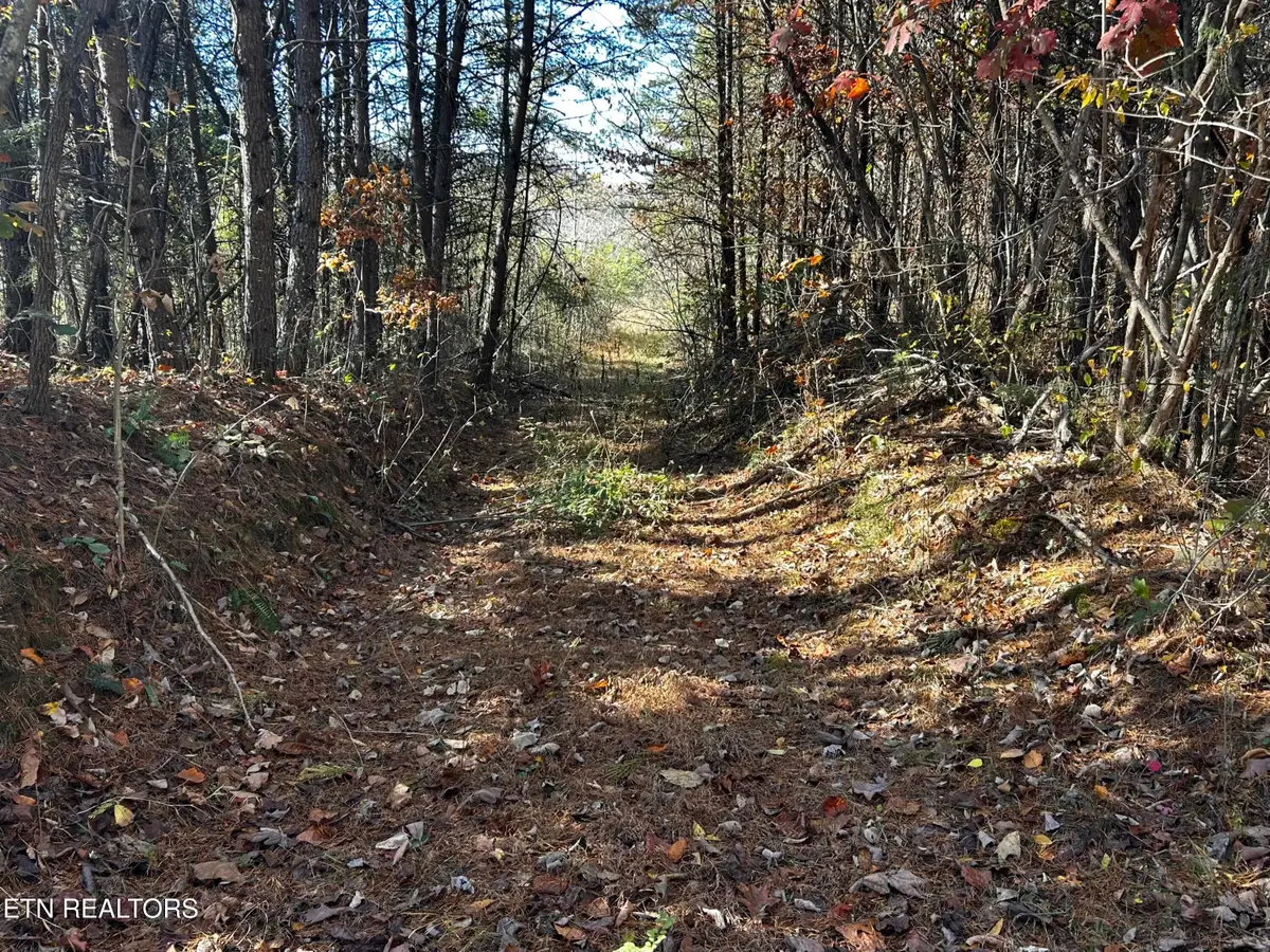 Shaddon Road Lot 2, Tellico Plains, TN 37385 - #1