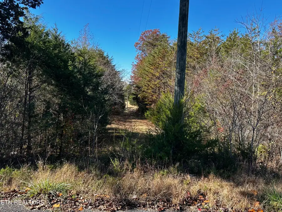 Shaddon Road Lot 2, Tellico Plains, TN 37385 - #3