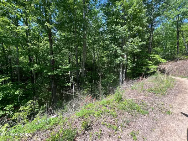 Lot 55 Butternut Lane, Sevierville, TN 37876