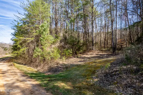 Welch Road Lot 4a, Tellico Plains, TN 37385