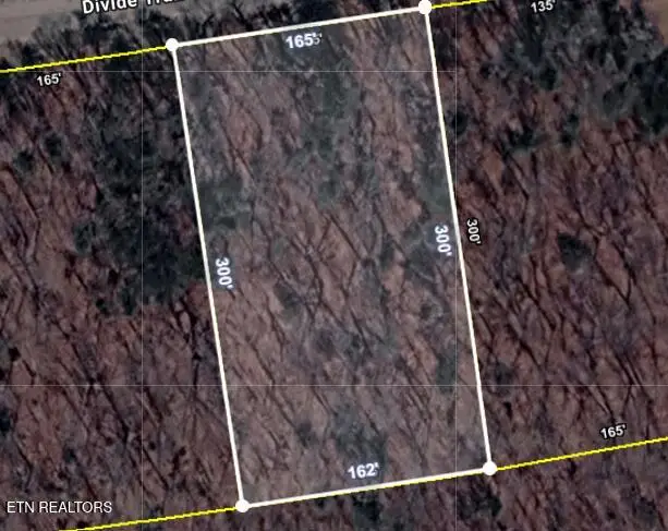 Lot 4 Divide Tr, Monterey, TN 38574 - #2