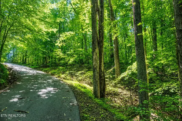 0 Dudley Drive, Sevierville, TN 37876