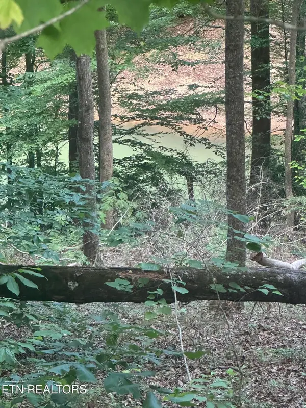 Hiwassee View - Lot 56 Drive, Jacksboro, TN 37757