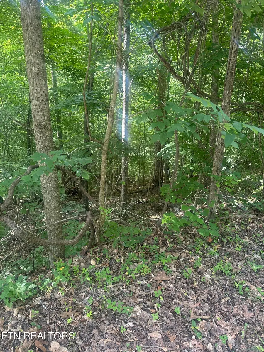 Hiwassee View - Lot 56 Drive, Jacksboro, TN 37757 - #2