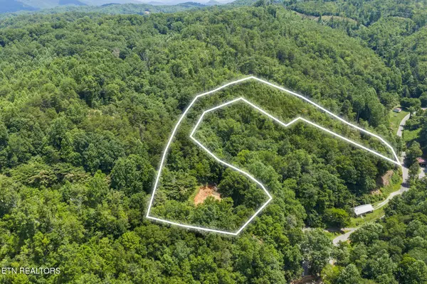 520 Verless Ogle Rd, Sevierville, TN 37876