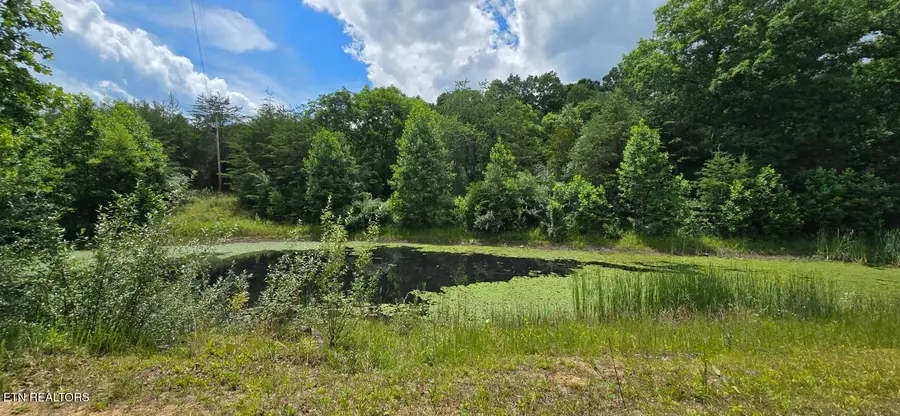 350 Rector Lane, Helenwood, TN 37755 - #3