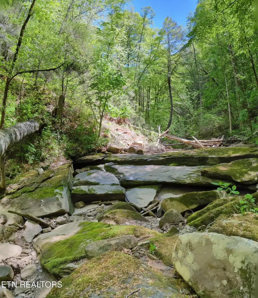 Cherokee Path, Jamestown, TN 38556 - #3