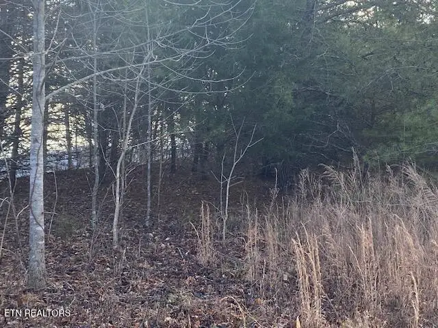 Lot 875 Clearwater Rd, New Tazewell, TN 37825 - #3