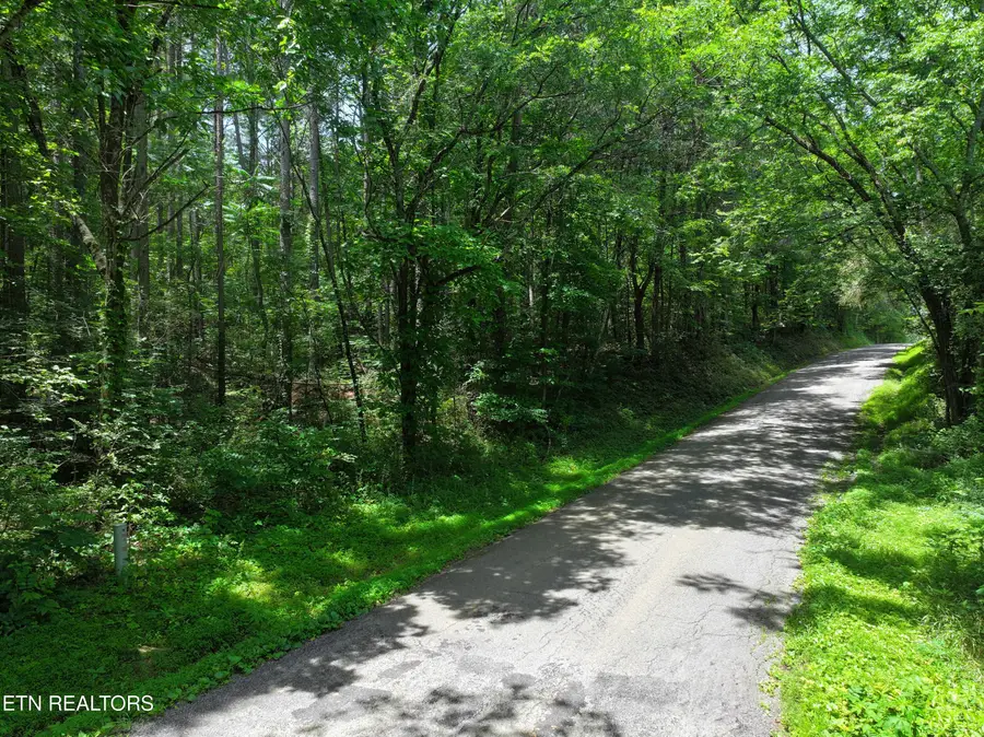 545 Ridge Rd Rd, Madisonville, TN 37354 - #3