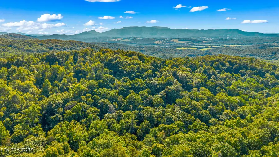 1549 Halls Top Rd, Newport, TN 37821 - #2