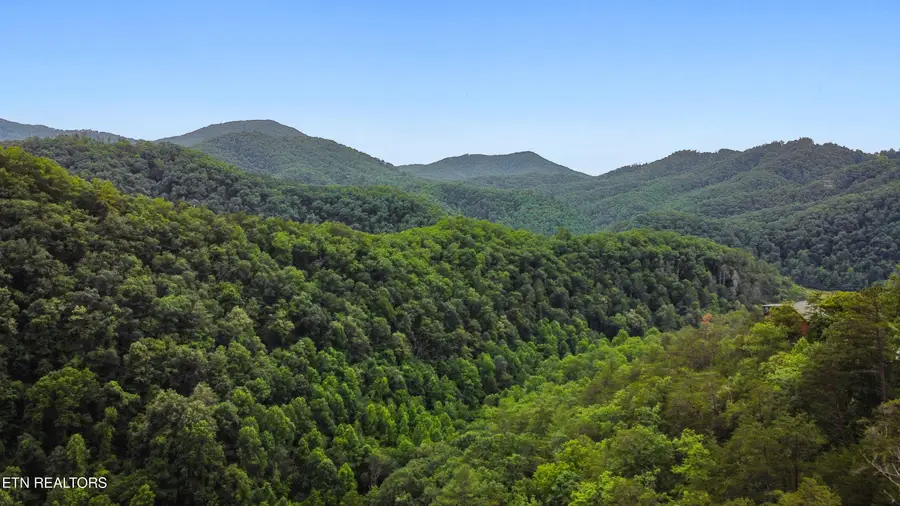 4137 Watson Court #2 & 3, Pigeon Forge, TN 37863 - #3