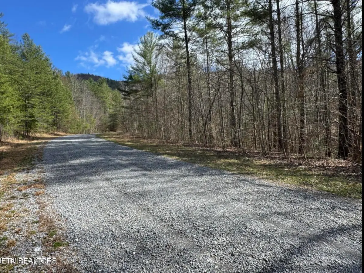Cougar Trail Tr #18, Del Rio, TN 37727 - #1