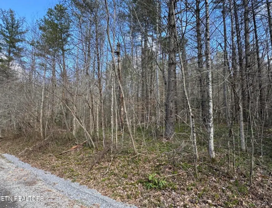 Cougar Trail Tr #18, Del Rio, TN 37727 - #3