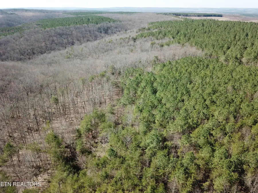 Buckridge Rd, Crossville, TN 38572 - #3