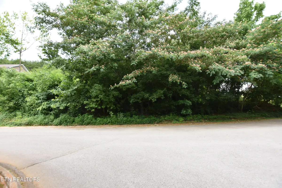 7139 Remagen Lane, Knoxville, TN 37920 - #1