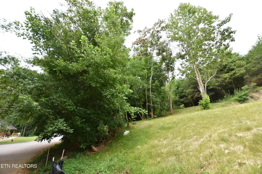 7139 Remagen Lane, Knoxville, TN 37920 - #3