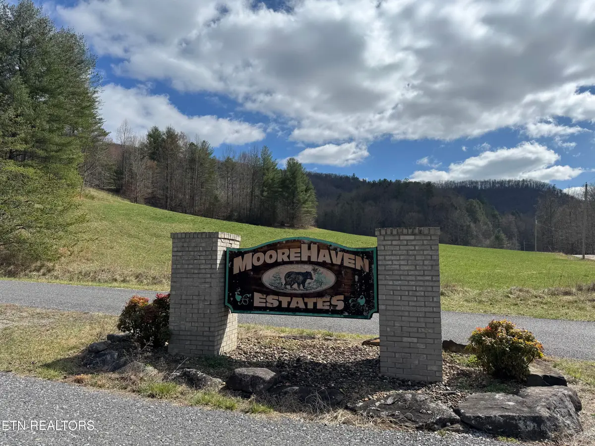 Cougar Trail Lot 17 2.08ac Tr, Del Rio, TN 37727 - #1