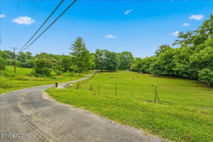 249 Old Cades Cove Rd, Townsend, TN 37882 - #2