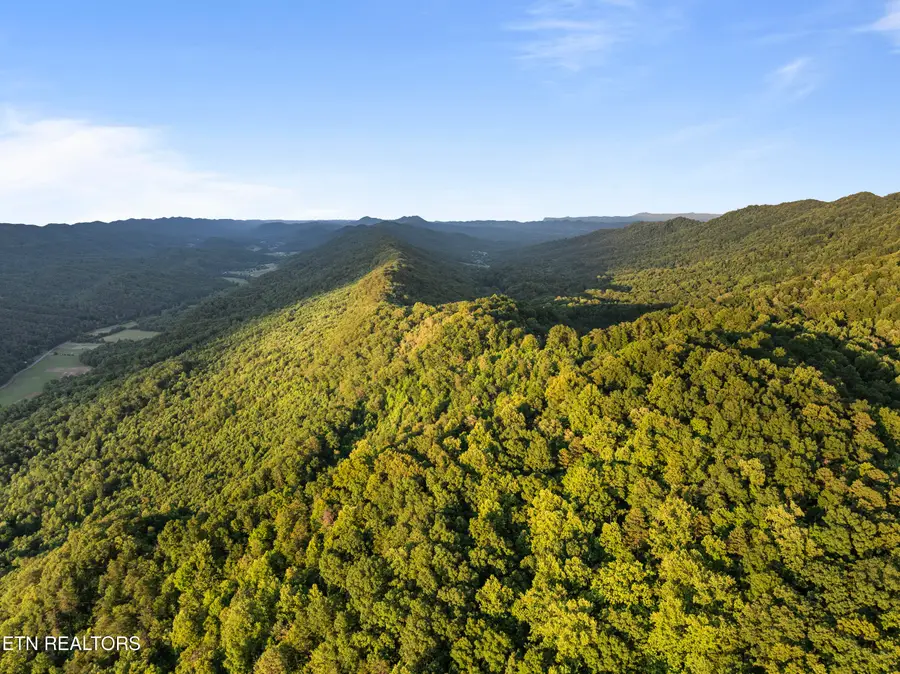 Spruce Pine (330 Acres) Rd, Mooresburg, TN 37811 - #2