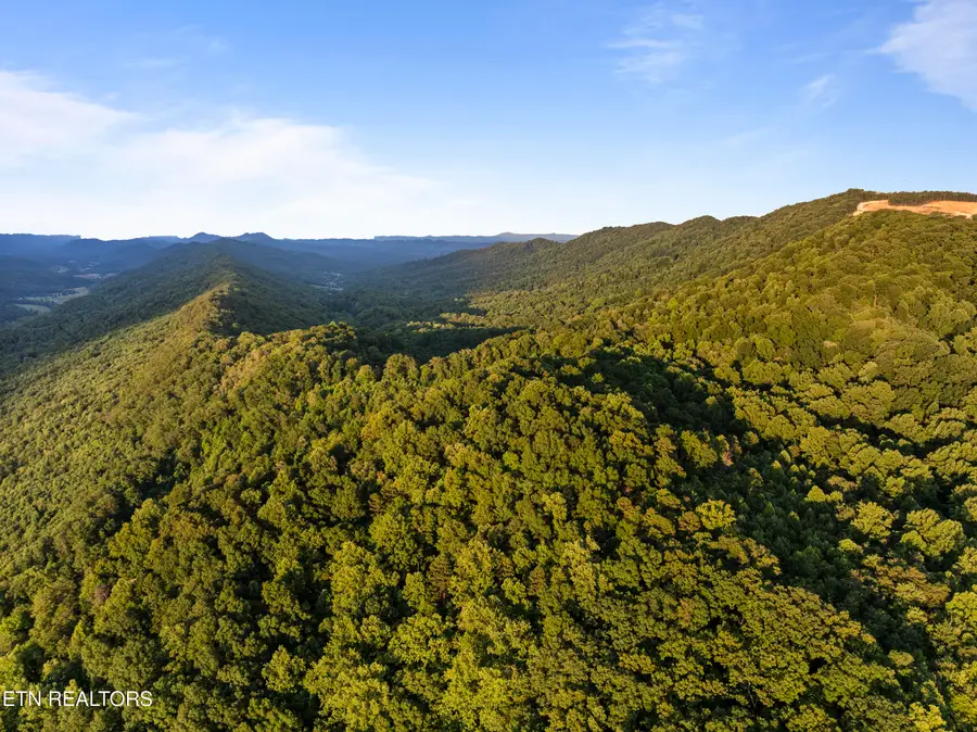 Spruce Pine (330 Acres) Rd, Mooresburg, TN 37811 - #3