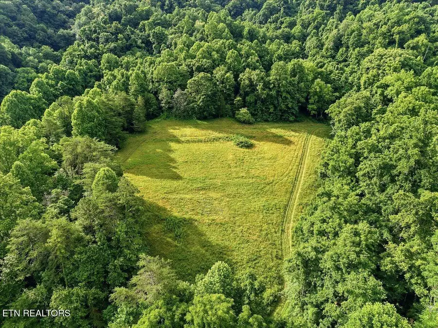 3503 Highway 70 N, Eidson, TN 37731 - #2