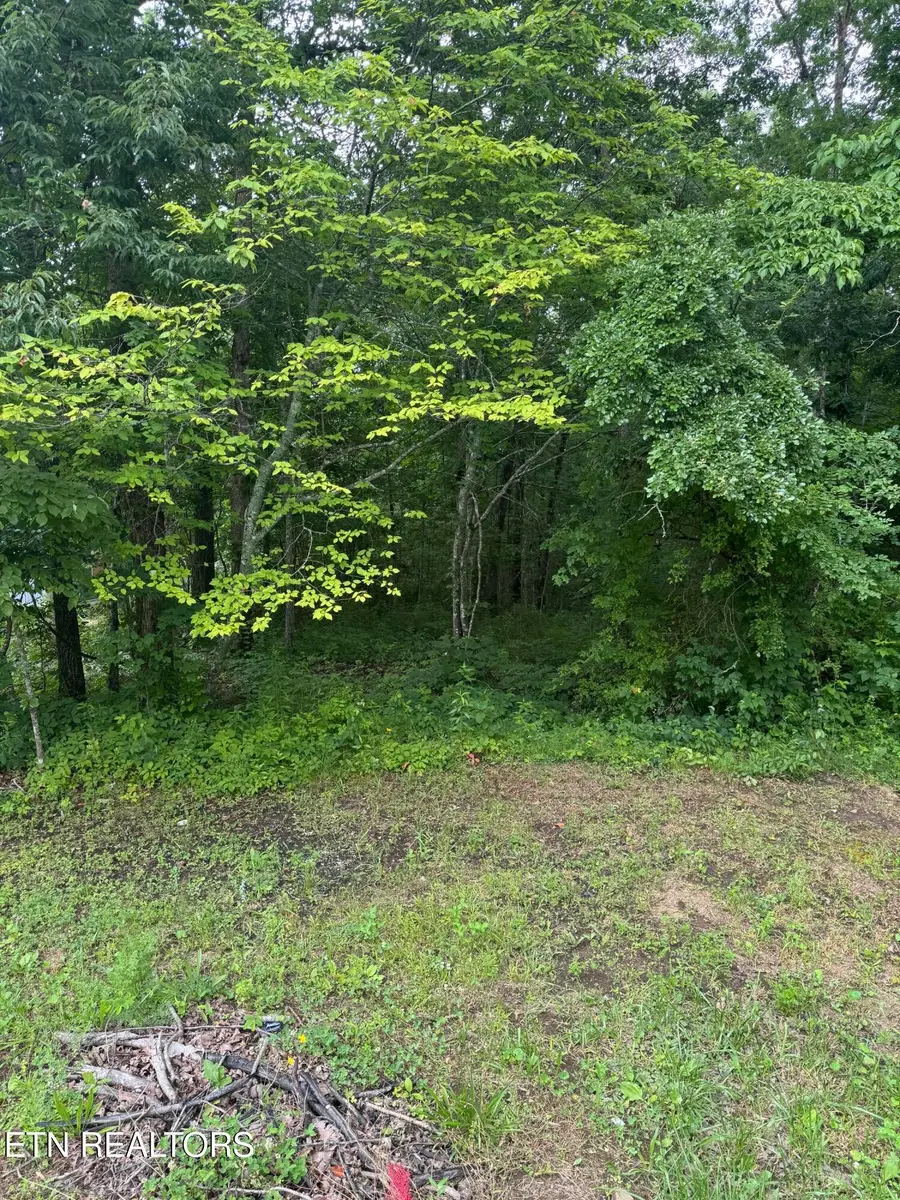 Timothy Drive, Crossville, TN 38572 - #2