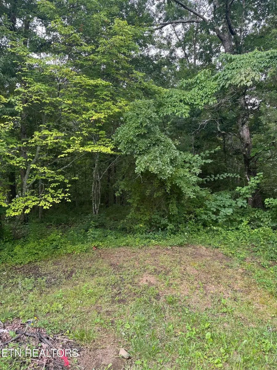 Timothy Drive, Crossville, TN 38572 - #3