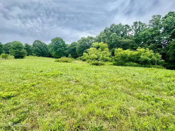 378 Johnson Hollow Rd, New Tazewell, TN 37825