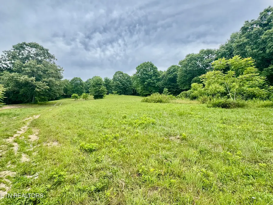 378 Johnson Hollow Rd, New Tazewell, TN 37825 - #2