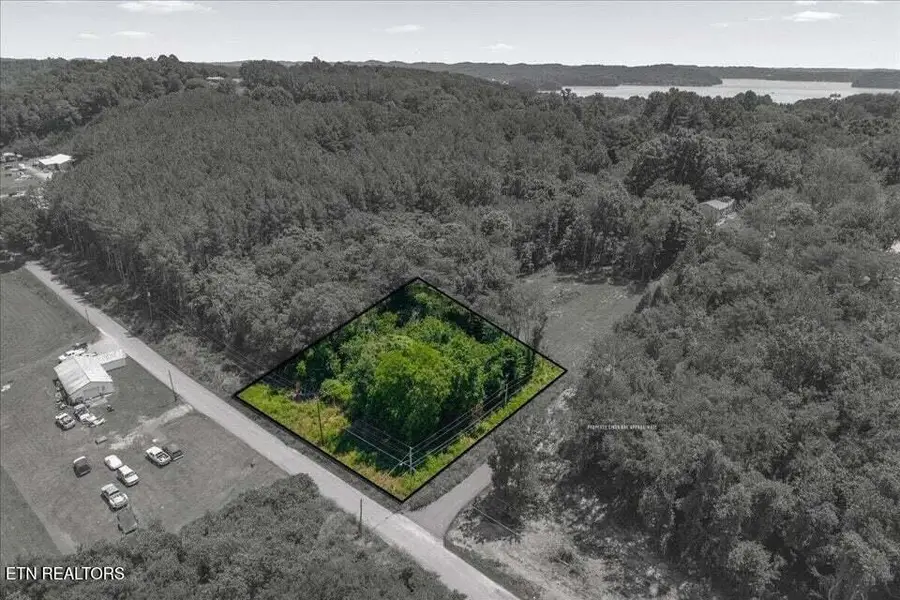 Lot 23-24 Hinch St, Spring City, TN 37381 - #2