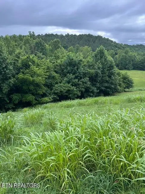 Mill Drive, Decatur, TN 37322 - #1