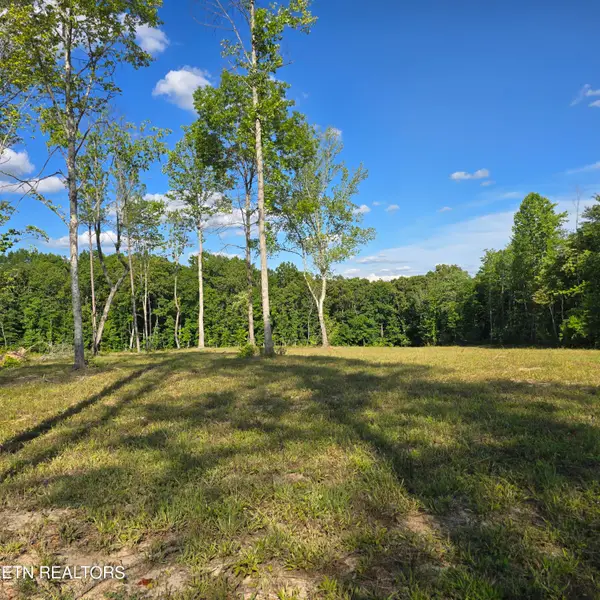 80+/- AC Red Hill Rd, Sunbright, TN 37872