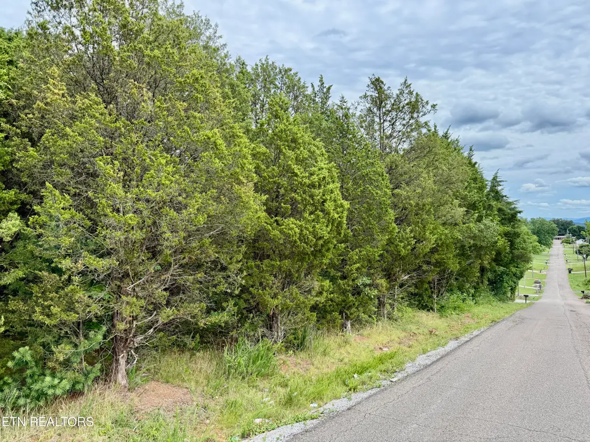 111 Britton Drive, Talbott, TN 37877 - #1