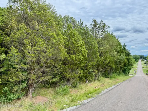 111 Britton Drive, Talbott, TN 37877