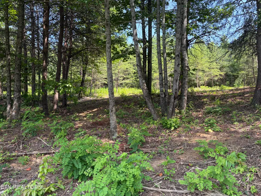 144 Red Wing Drive, Vonore, TN 37885 - #2