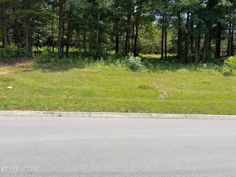 144 Red Wing Drive, Vonore, TN 37885 - #3