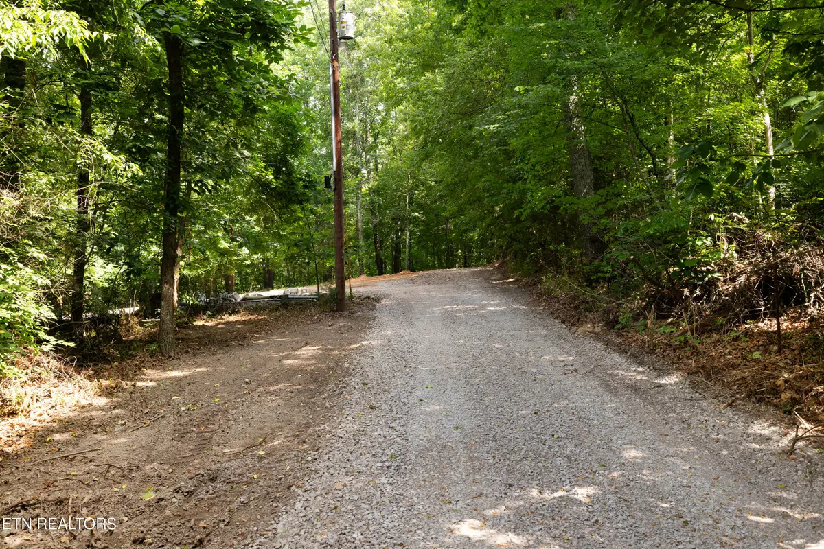 Bert Newman Lane #2r2, Knoxville, TN 37931 - #1