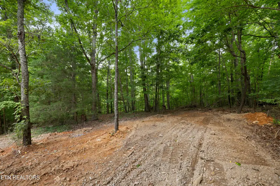 Bert Newman Lane #2r2, Knoxville, TN 37931 - #3