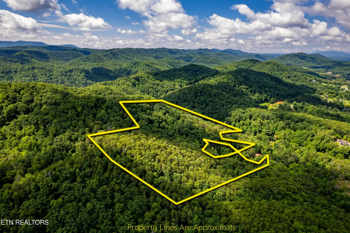 154 Poplar Road Rd, Tellico Plains, TN 37385 - #1
