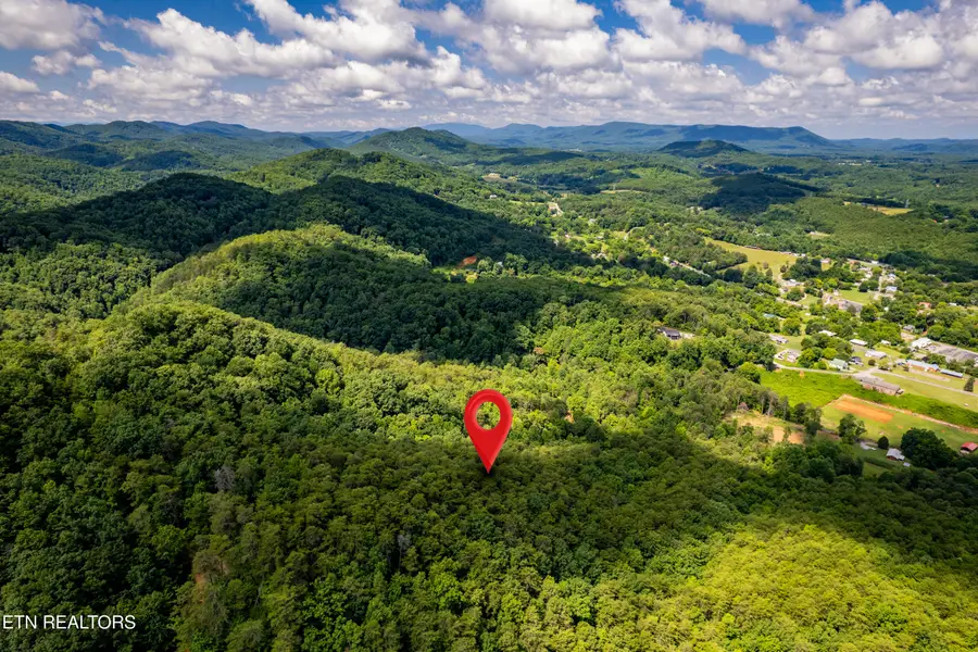 154 Poplar Road Rd, Tellico Plains, TN 37385 - #2