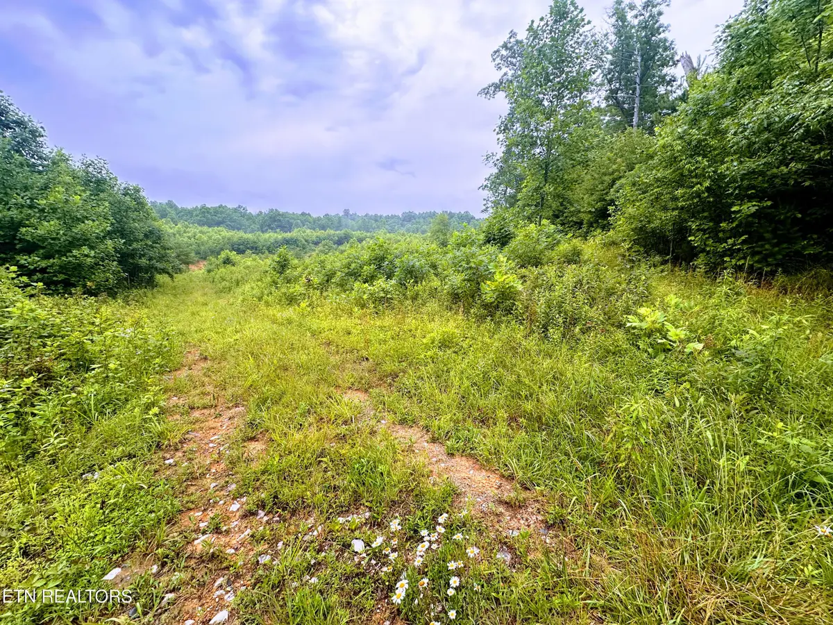 13.44 Chestnut Ridge Rd, Allardt, TN 38504 - #1