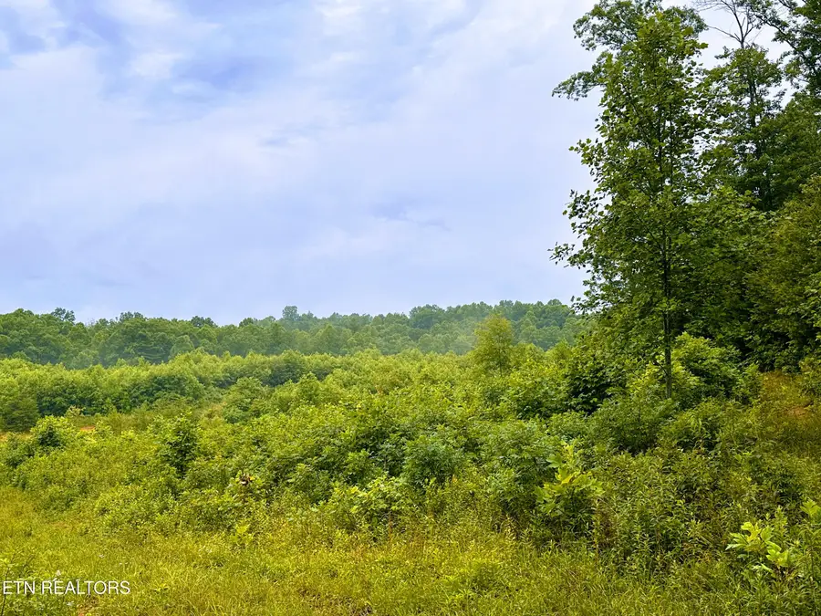 13.44 Chestnut Ridge Rd, Allardt, TN 38504 - #3