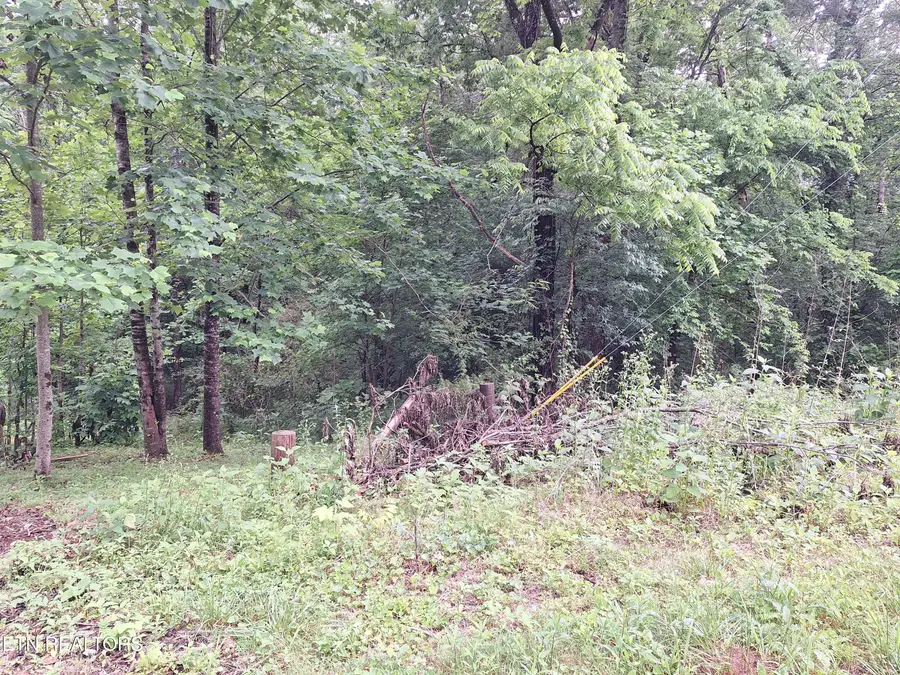 160 Mountain Rd, Tellico Plains, TN 37385 - #3