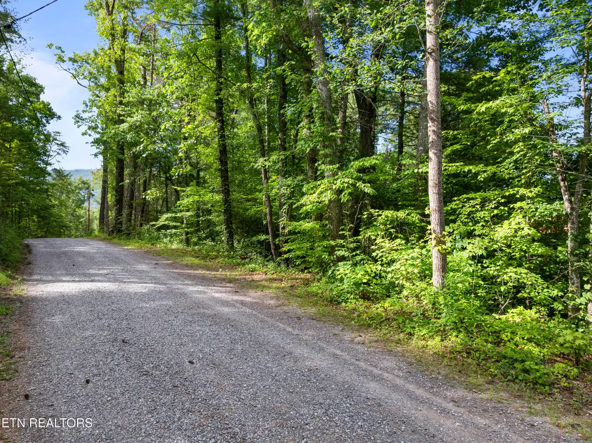 TBD Grouse Top (lot 3) Rd, Walland, TN 37886 - #1