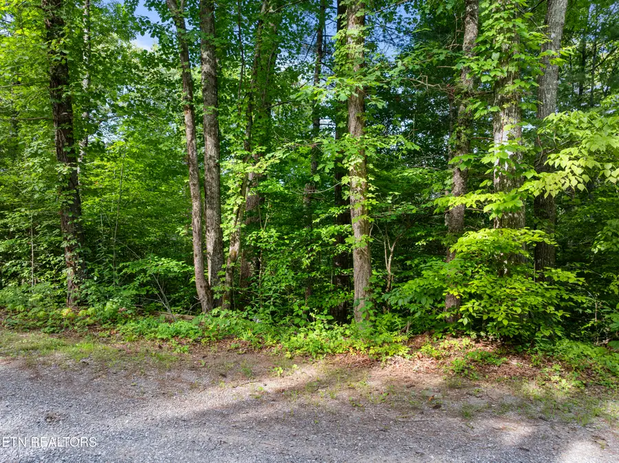 TBD Grouse Top (lot 3) Rd, Walland, TN 37886 - #3