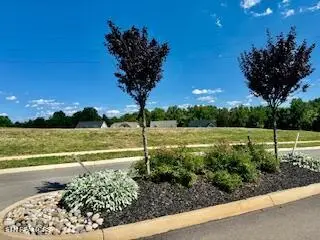 12924 Yorkshire Fog (lot 49) Lane, Farragut, TN 37934 - #3